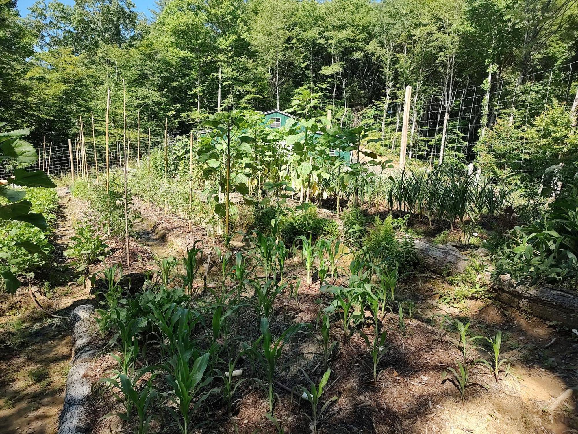 布里瓦德Healing Acres别墅 外观 照片